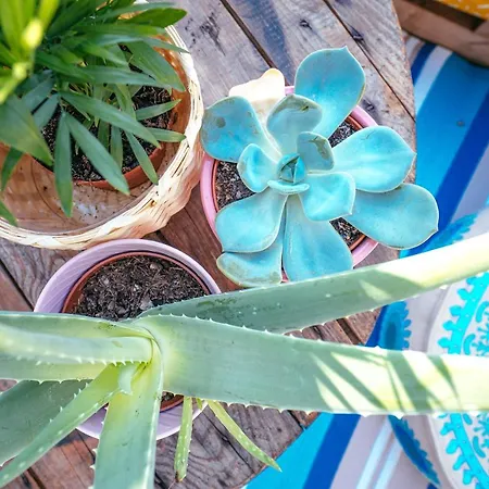 The Kalifornia I Stilvoll Mit Urlaubsfeeling I Dachterrasse I Klima Lägenhet