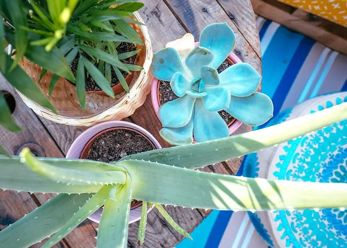 The Kalifornia I Stilvoll Mit Urlaubsfeeling I Dachterrasse I Klima Apartman